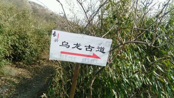 【徒步乌龙古道】赏千年八都岕十里银杏长廊