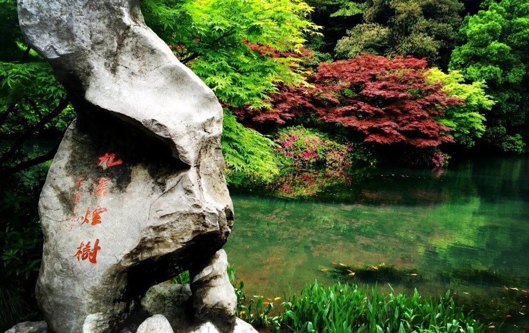 【徒步九溪】漫步九溪十八涧，行走在山水画...