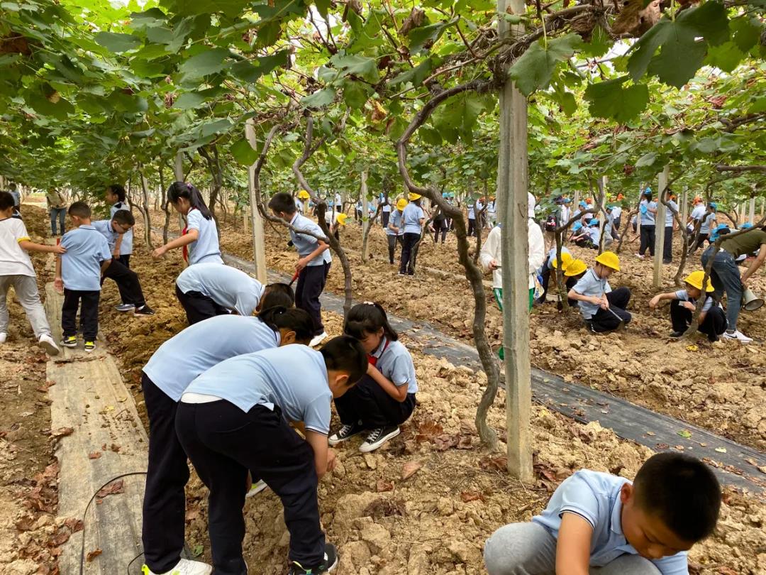 【乐群·骄傲】乐群小学刘文祺老师在2018年盐田区中小学班主任专业能力大赛中斩获小学组一等奖