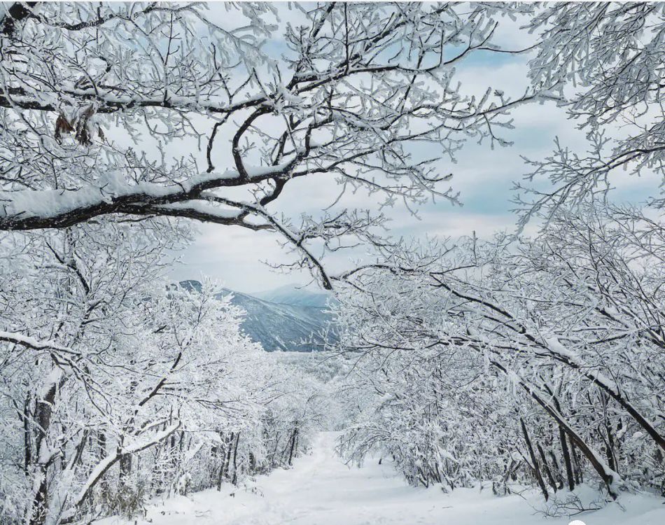 【冰天雪地的召唤】绝美龙王山，登山，摄影...