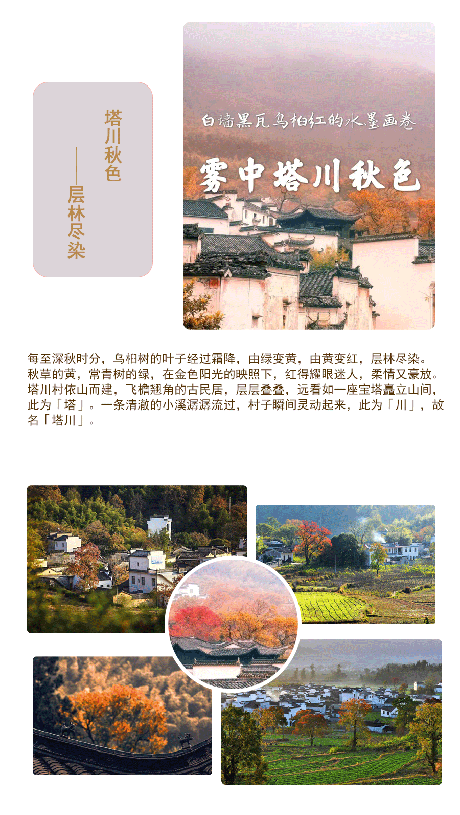 黄山木梨硔详情页_03.gif